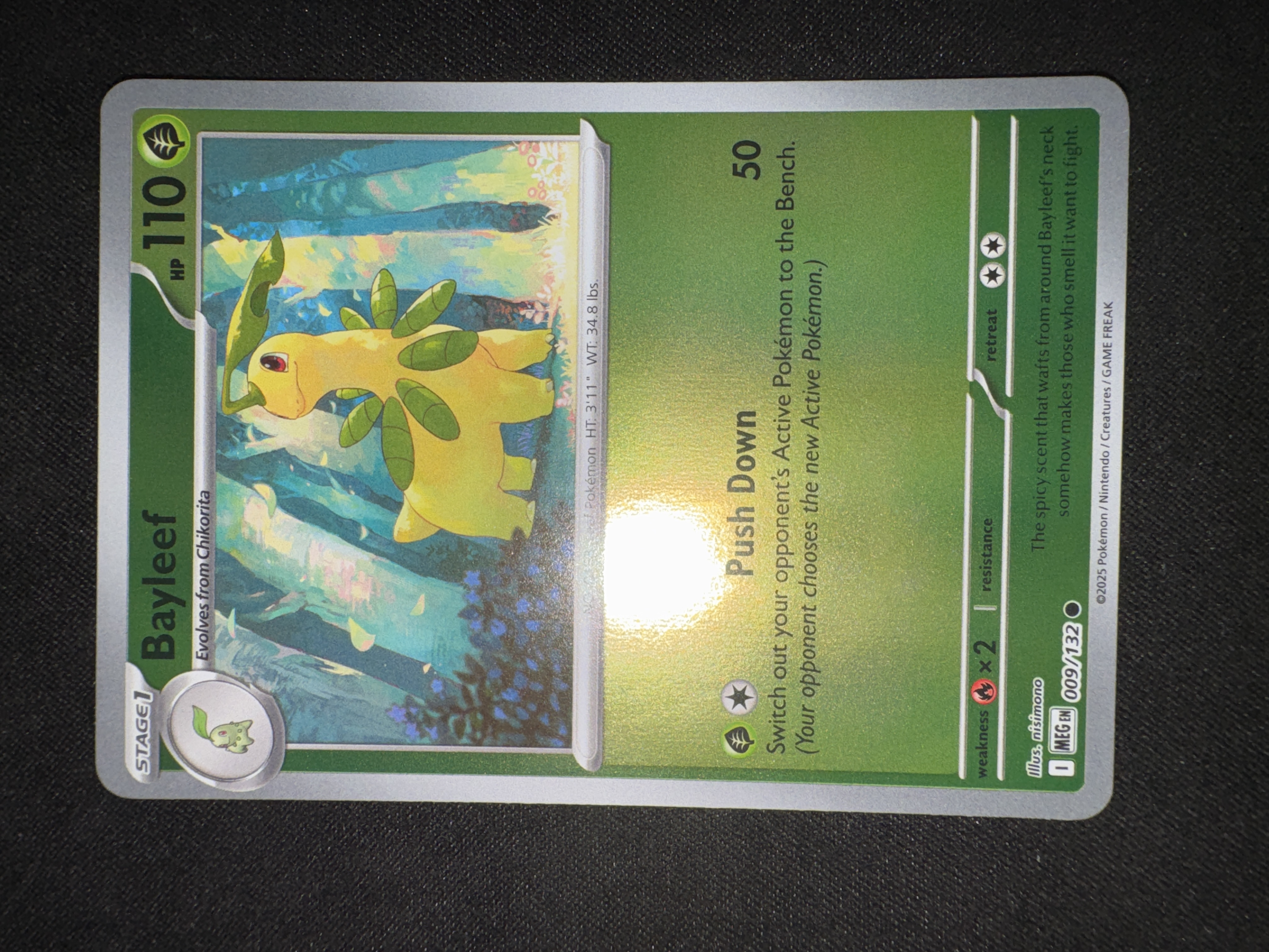 Bayleef from Mega Evolution