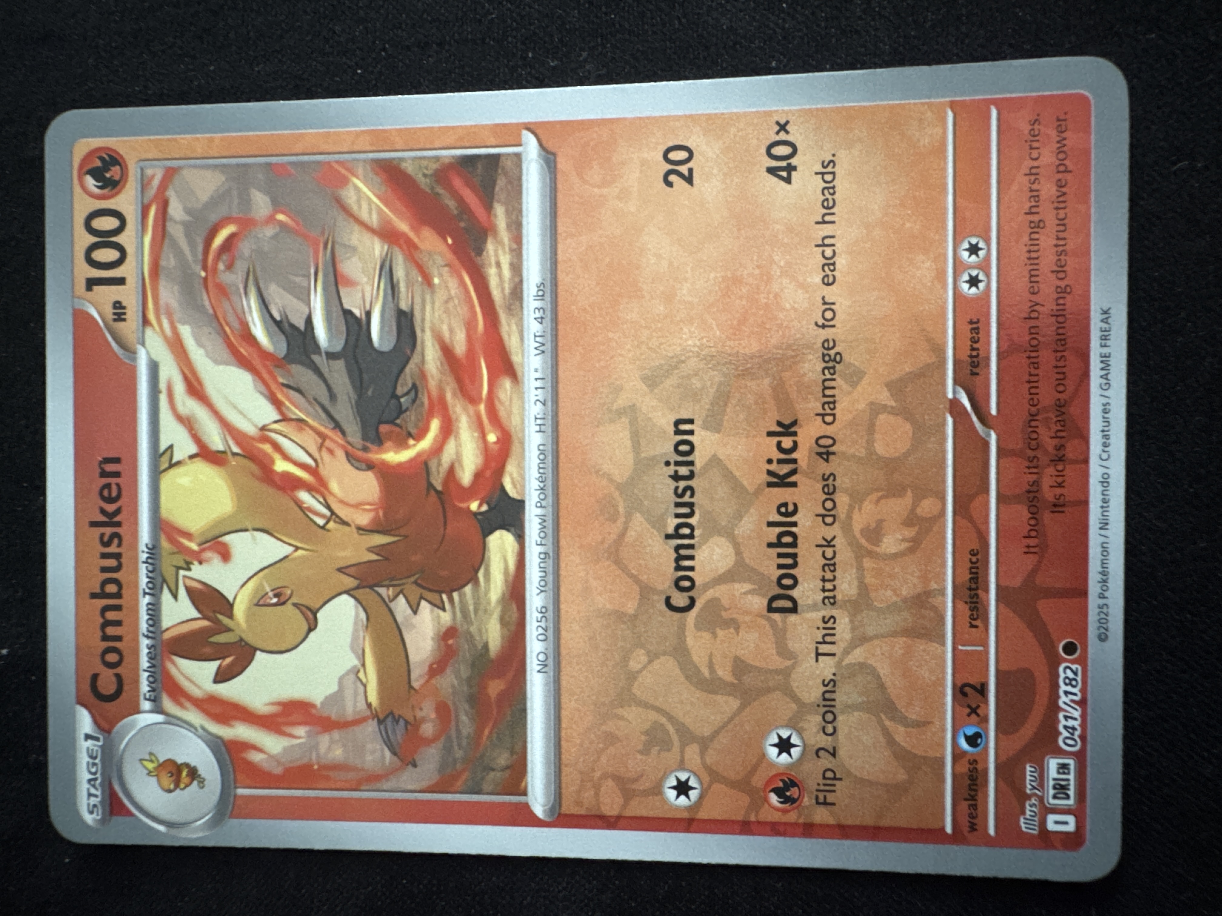 Combusken from Destined Rivals