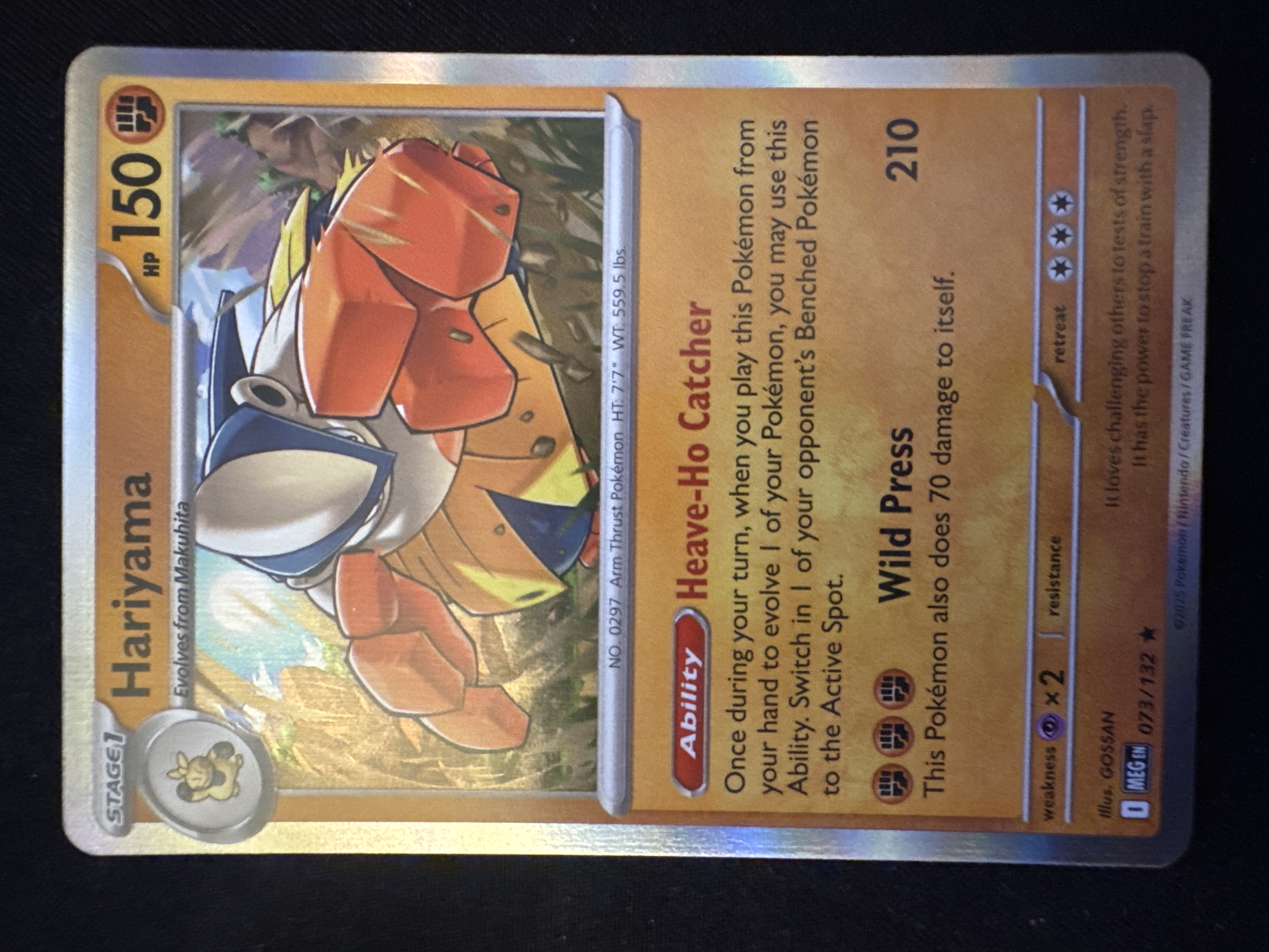 Hariyama from MEG