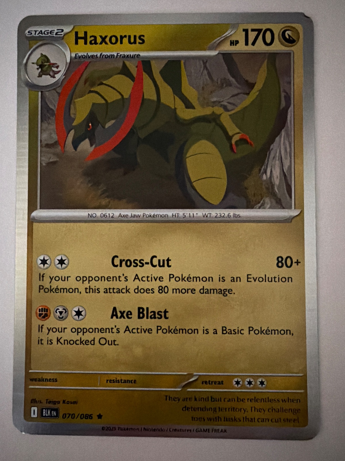 Haxorus from BLK
