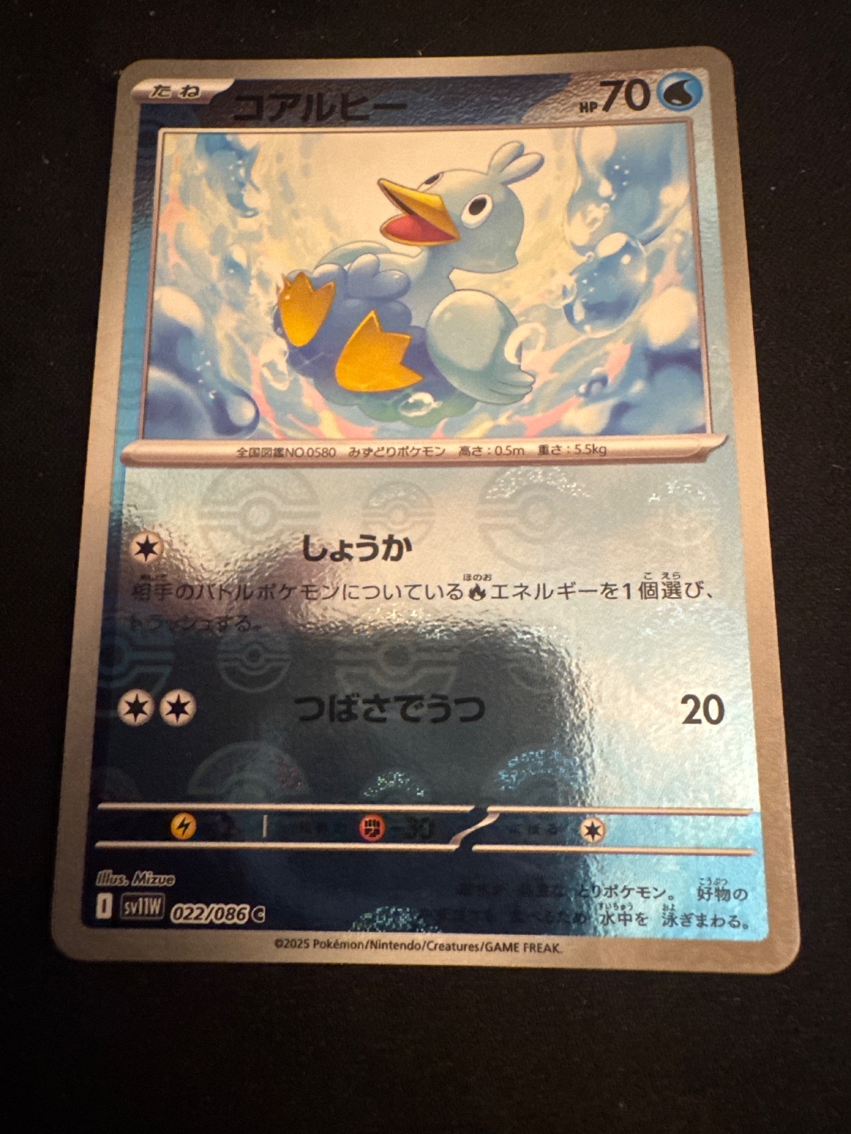 Ducklett from sv1W