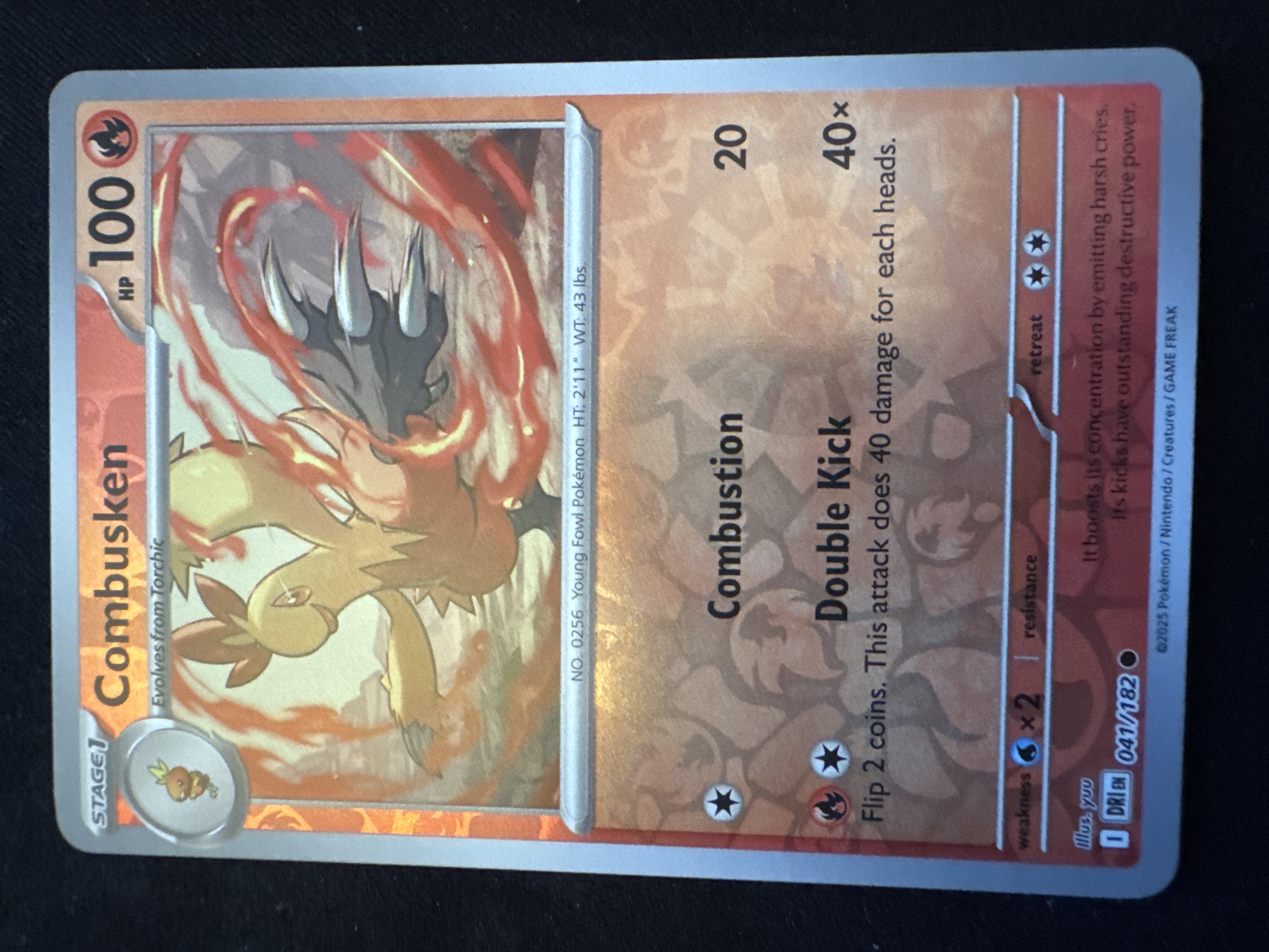 Combusken from Destined Rivals