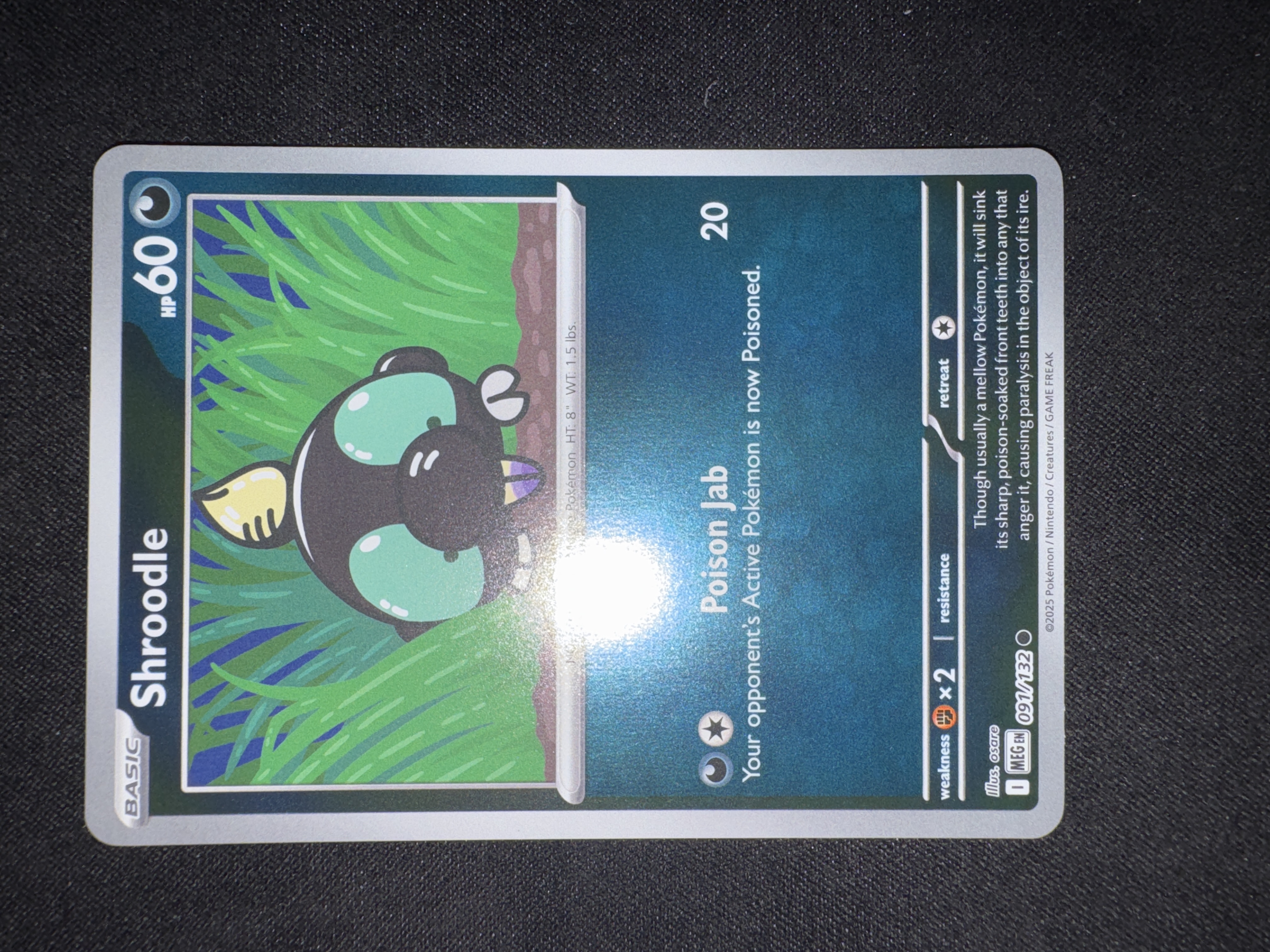 Shroodle from Mega Evolution