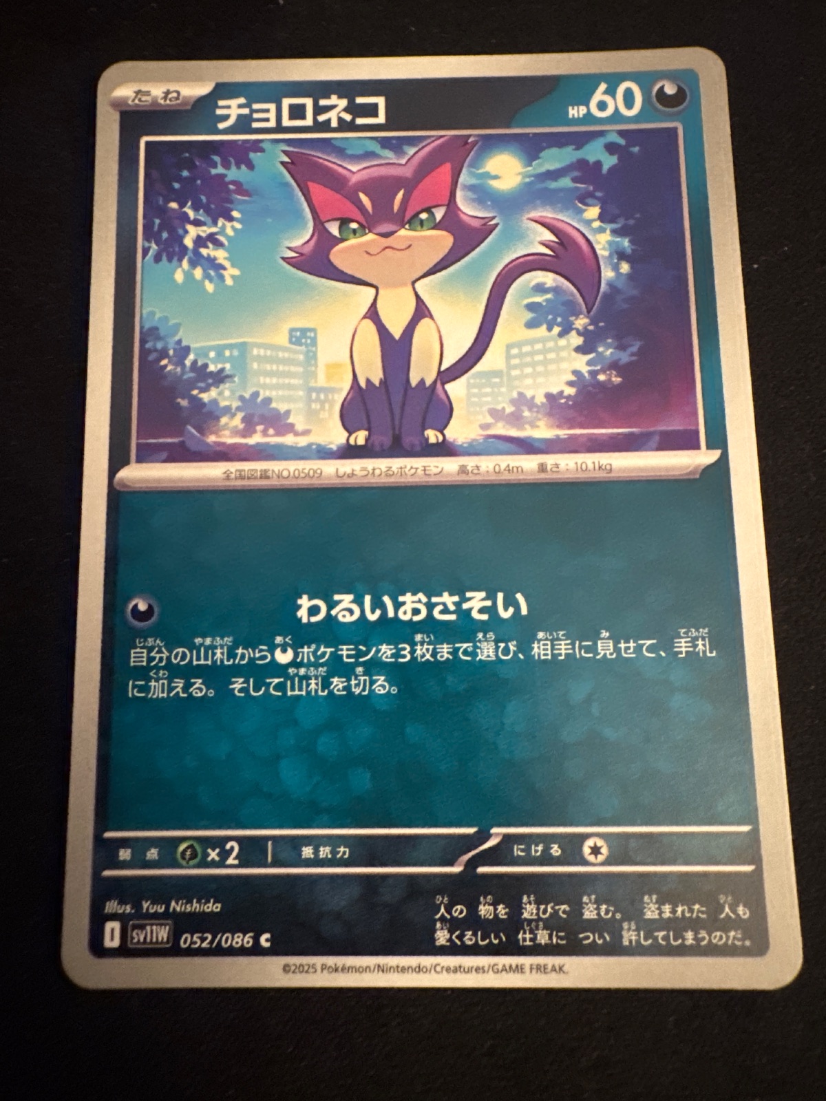 Purrloin from sv11W
