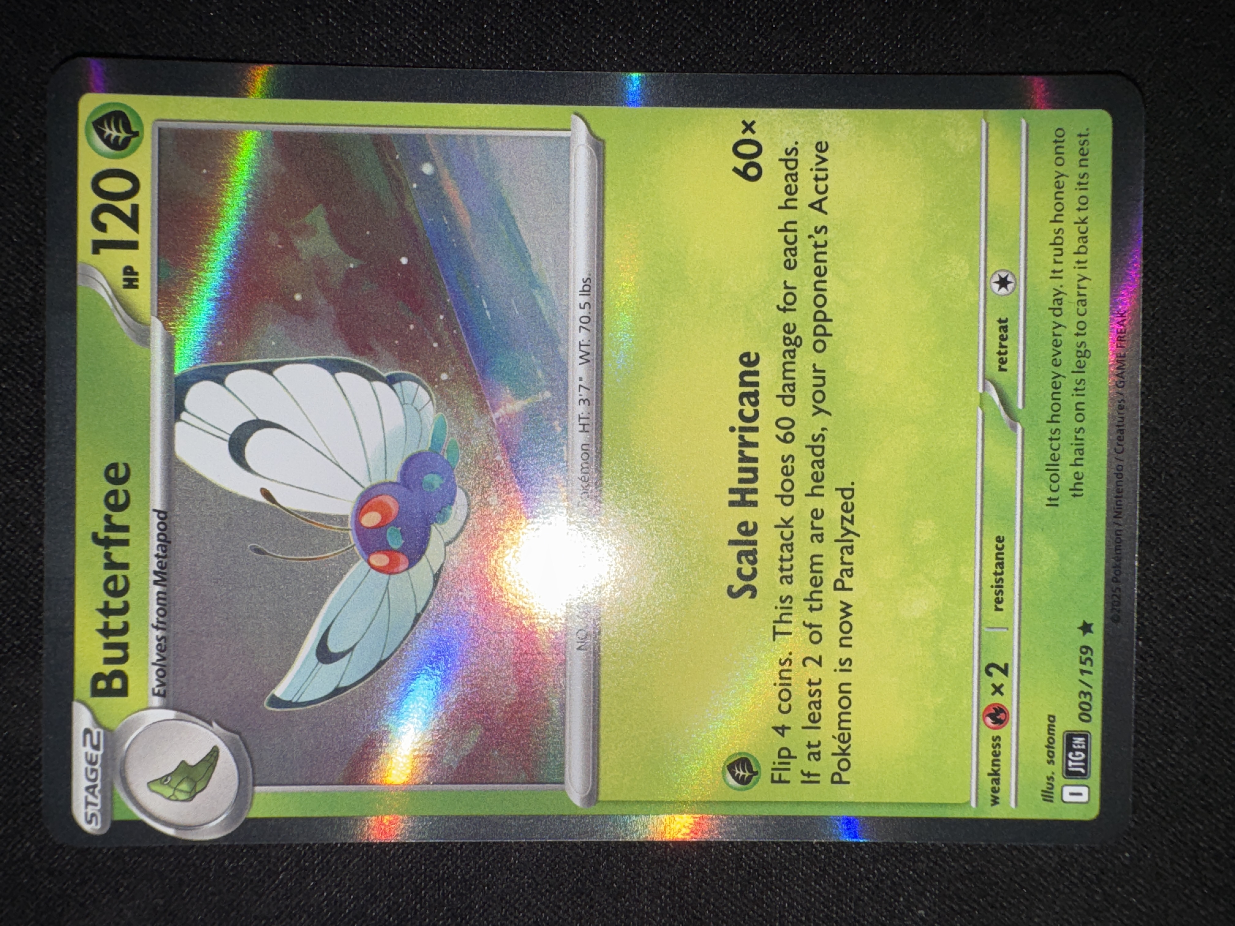 Butterfree from Journey Together